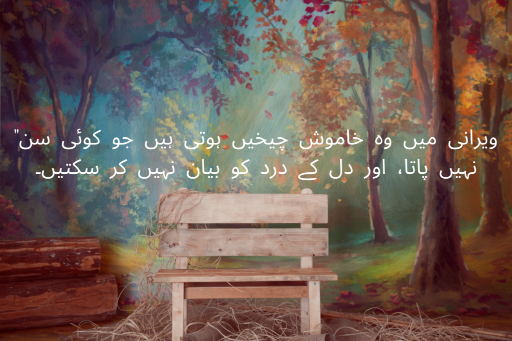 ویرانی میں وہ خاموش چیخیں ہوتی ہیں جو کوئی "سن" نہیں پاتا اور دل کے درد کو بیان نہیں کر سکتیں۔