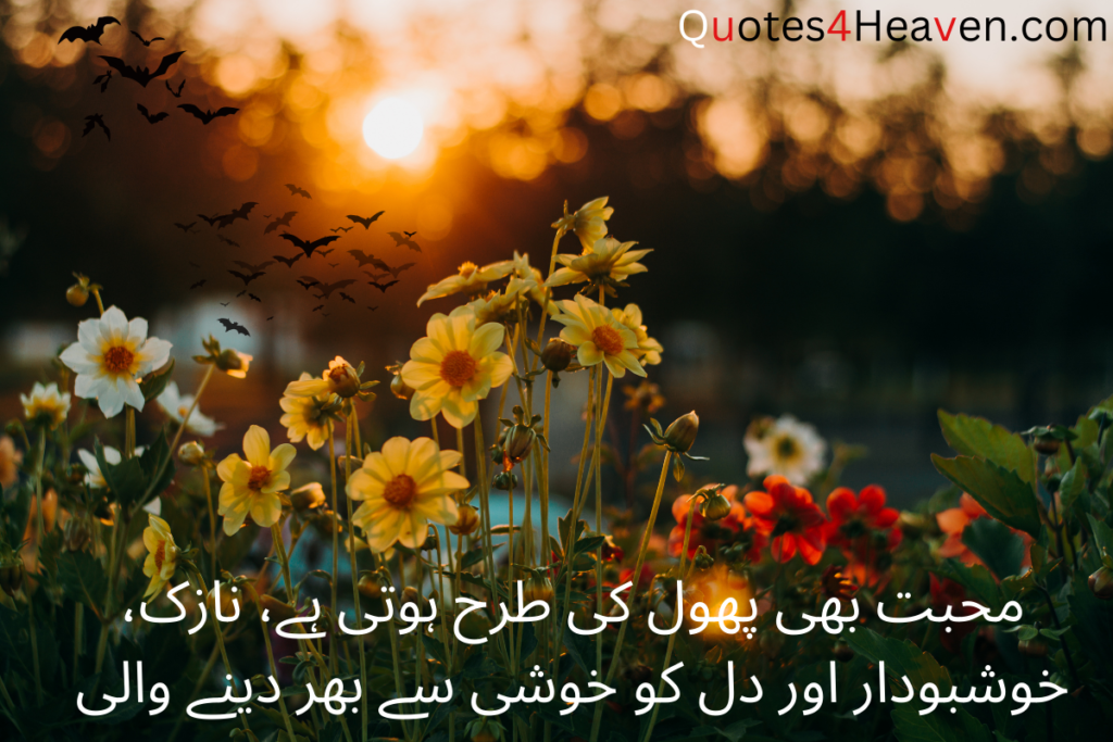 محبت بھی پھول کی طرح ہوتی ہے، نازک، خوشبودار اور دل کو خوشی سے بھر دینے والی