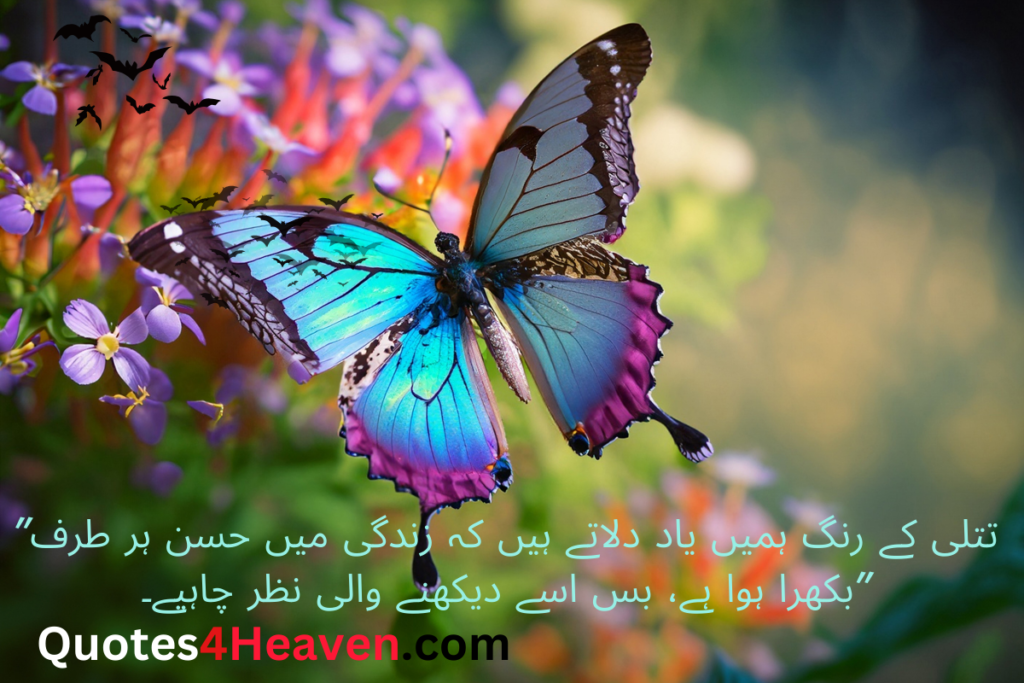 تتلی کے رنگ ہمیں یاد دلاتے ہیں کہ زندگی میں حسن ہر طرف” بکھرا ہوا ہے، بس اسے دیکھنے والی نظر چاہیے۔

