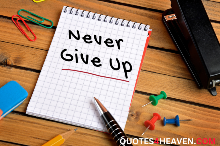 Never Give Up