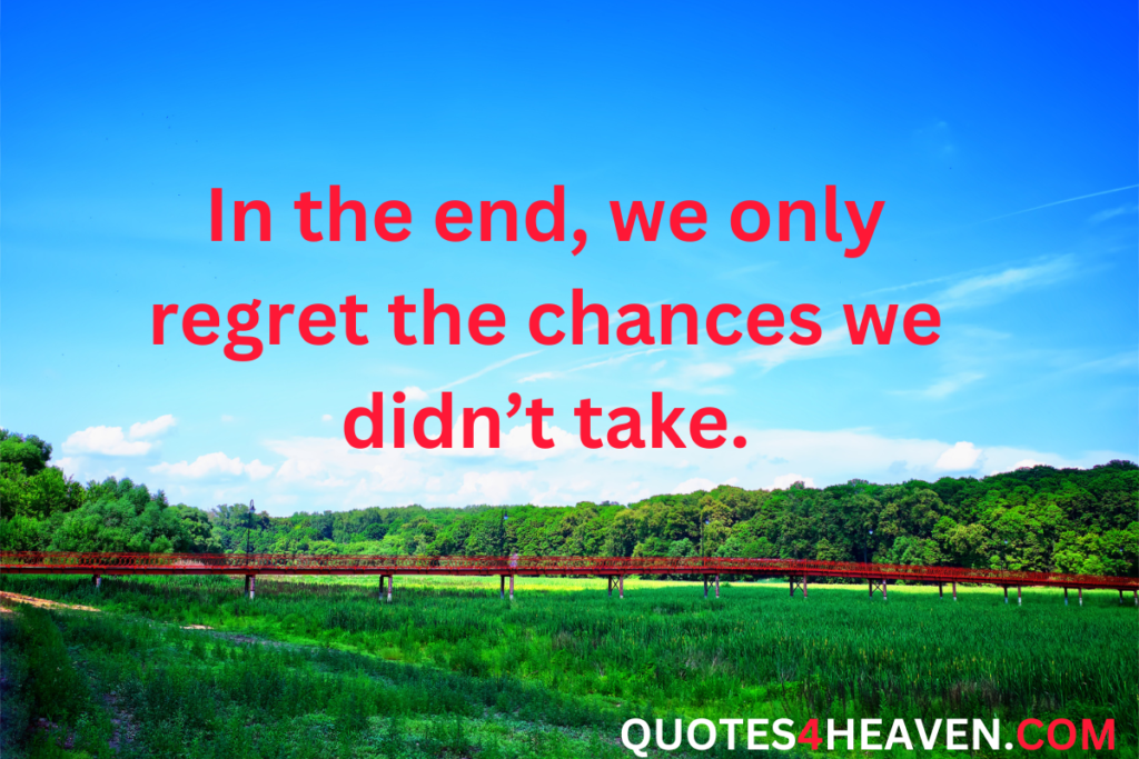 In the end, we only regret the chances we didn't take.