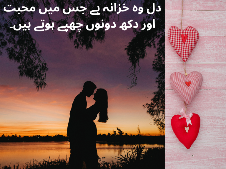 دل وہ خزانہ ہے جس میں محبت اور دکھ دونوں چھپے ہوتے ہیں۔
