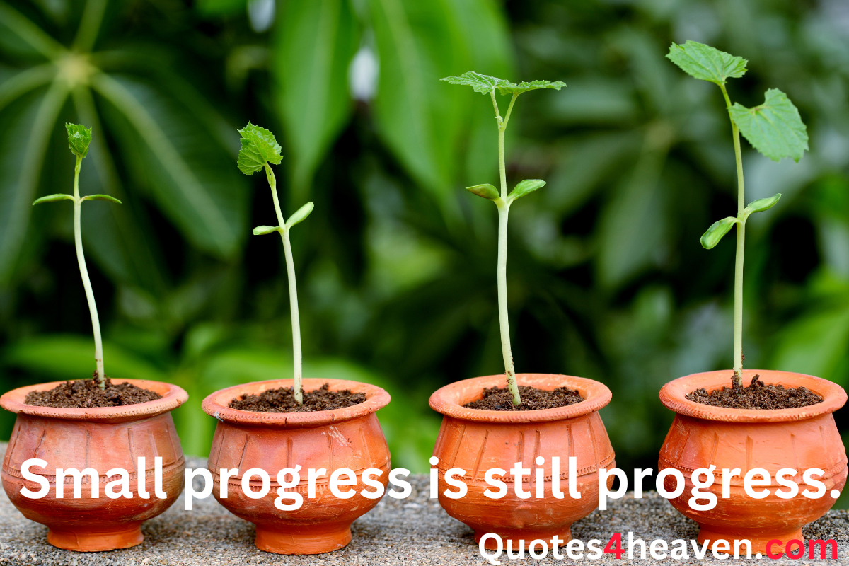 Small progress is still progress.
