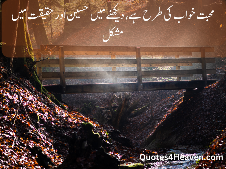محبت خواب کی طرح ہے، دیکھنے میں حسین اور حقیقت میں مشکل